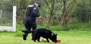 La Policía de Edomex capacitará a 56 elementos para poder manejar perros. Foto: (Mario C. Rodríguez)