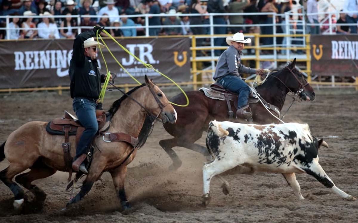 En Rodeo Saltillo, vaqueros destacan animales de primer nivel. l Especial