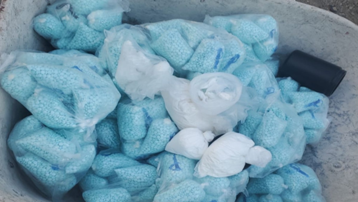 Autoridades han asegurado más de cien toneladas de droga con Operación Frontera Norte. | SSPC