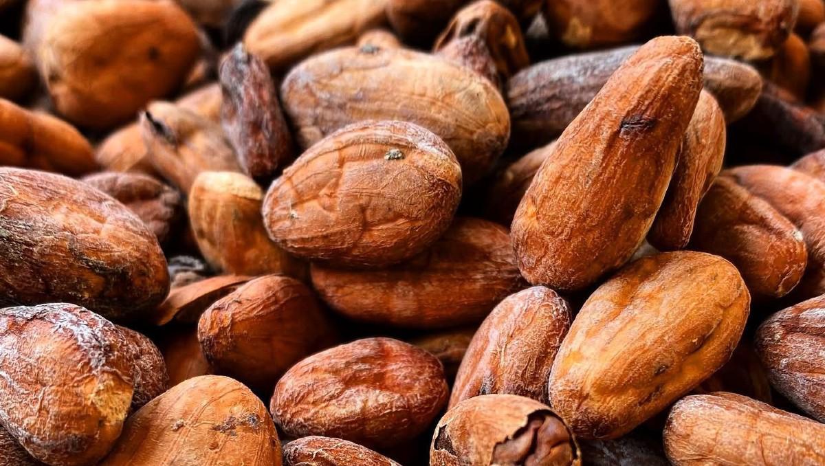 El chocolate artesanal protagoniza el Festival del Chocolate | Especial