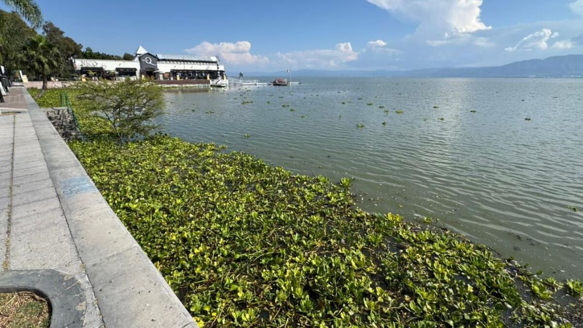LAgo de Chápala recibe festival de Ajijic (Jorge Barajas)