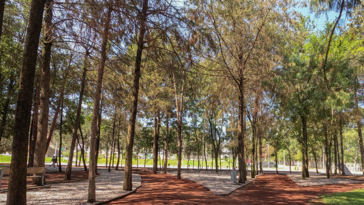 Parque Estatal Flor del Bosque en Puebla | Especial