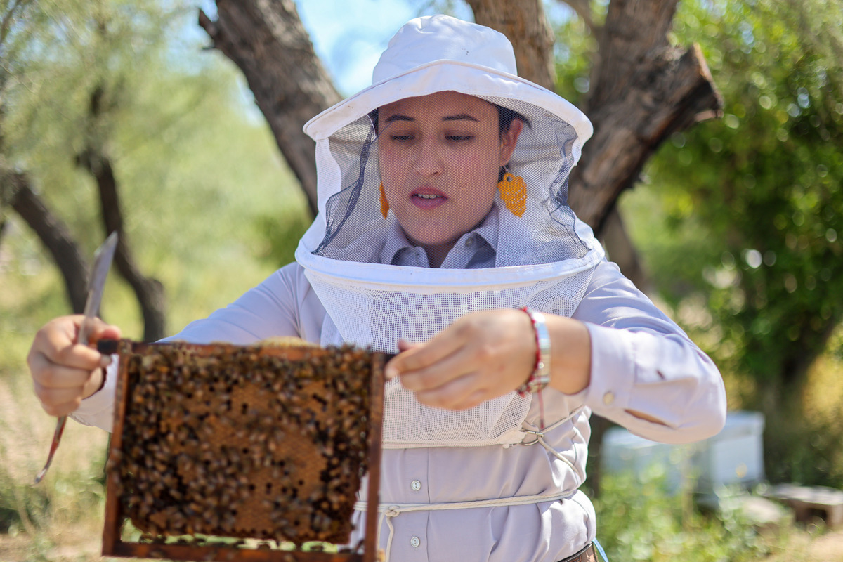 Con formación en Ciencias Biológicas, combina conocimiento científico y amor por el campo, promoviendo la apicultura sustentable.|Rolando Riestra