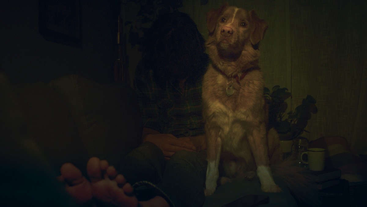 ‘Good Boy’', la nueva película de terror a través de losojos de un perro | Especial