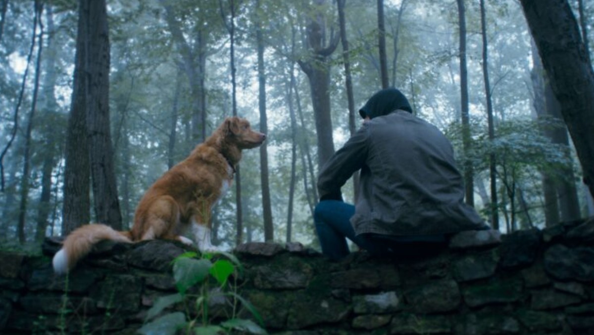 “Good Boy”: El perro que enfrenta sus miedos por amor | Cortesía