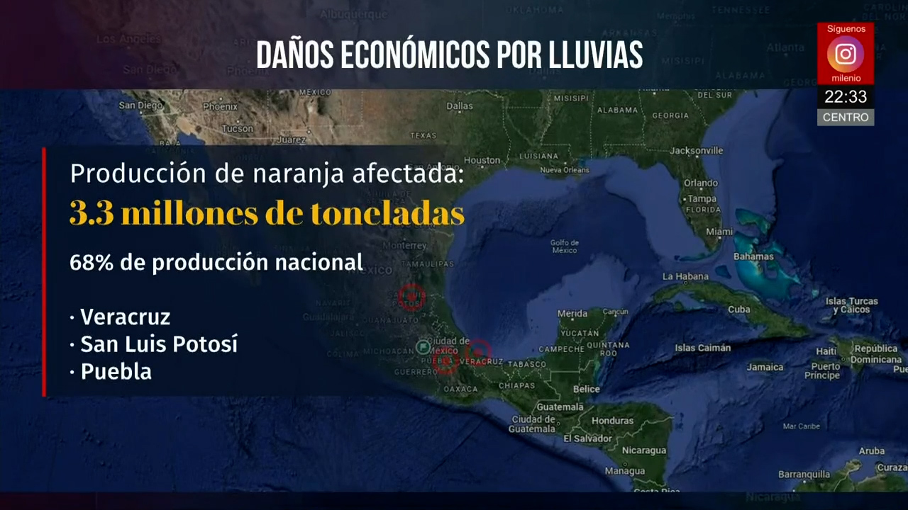 Lluvias en México causan 51 mil millones en daños y afectan 68% del cultivo de naranja