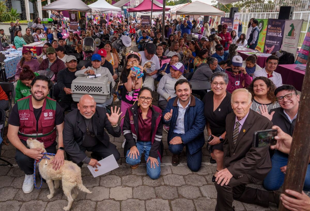 La mandataria informó que este año se llevarán a cabo cinco ferias del bienestar animal. | Especial