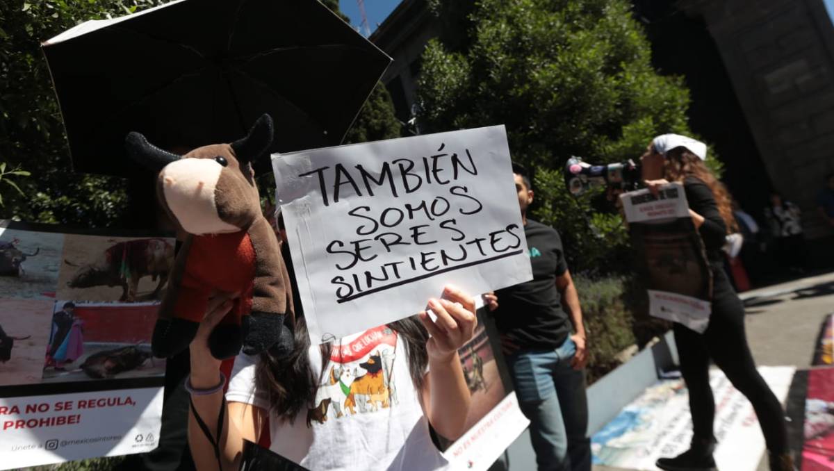 Los manifestantes refirieron que hace más de un año se entregó una “Iniciativa ciudadana contra espectáculos con animales”. Foto: Tania Contreras