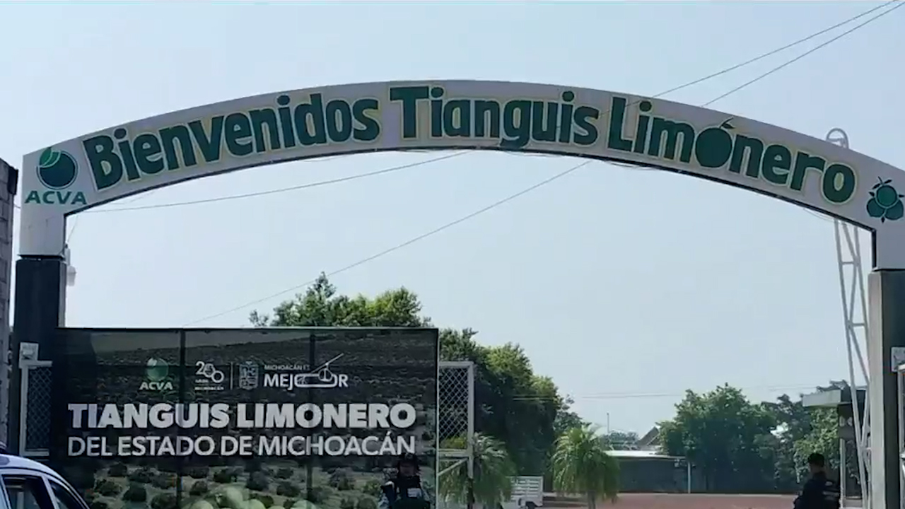Tianguis limonero en Apatzingán, Michoacán registra baja afluencia
