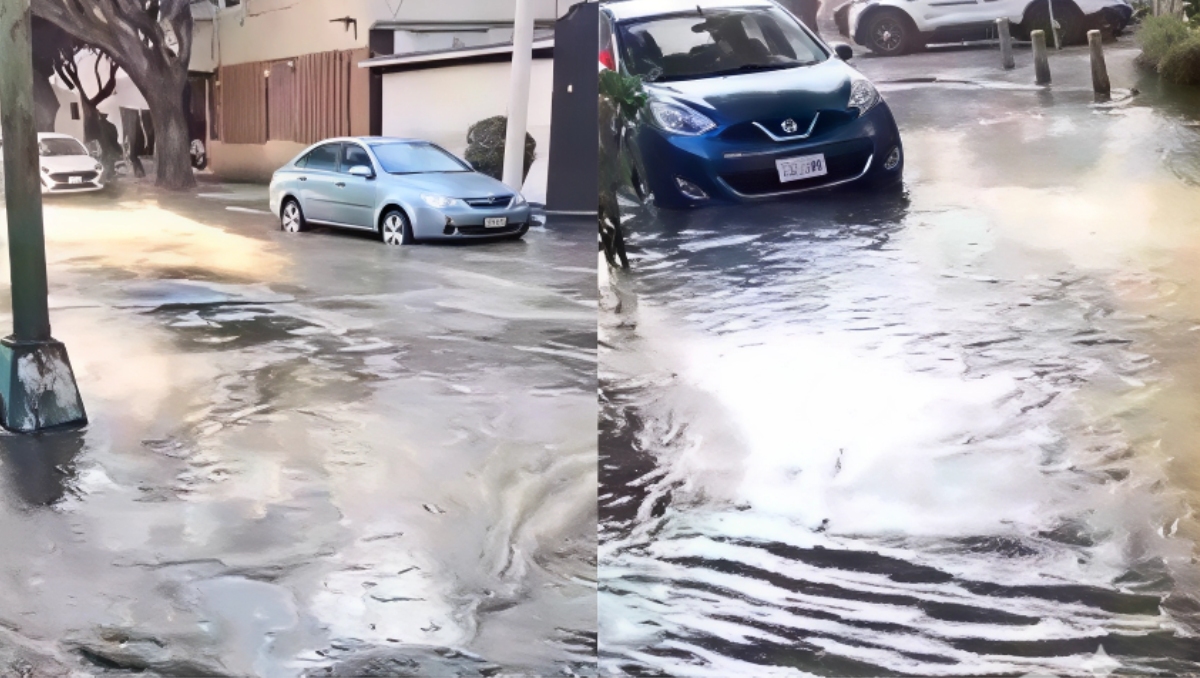 Los vecinos refieren que el problema se viene registrando desde hace ya casi dos años, siendo esta vez la quinta. | Especial