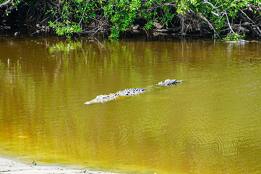 Visitar Oaxaca también es sinónimo de diversidad de destinos para todos los sentidos, desde ecoturismo en montañas místicas, hasta relajación en sus costas.