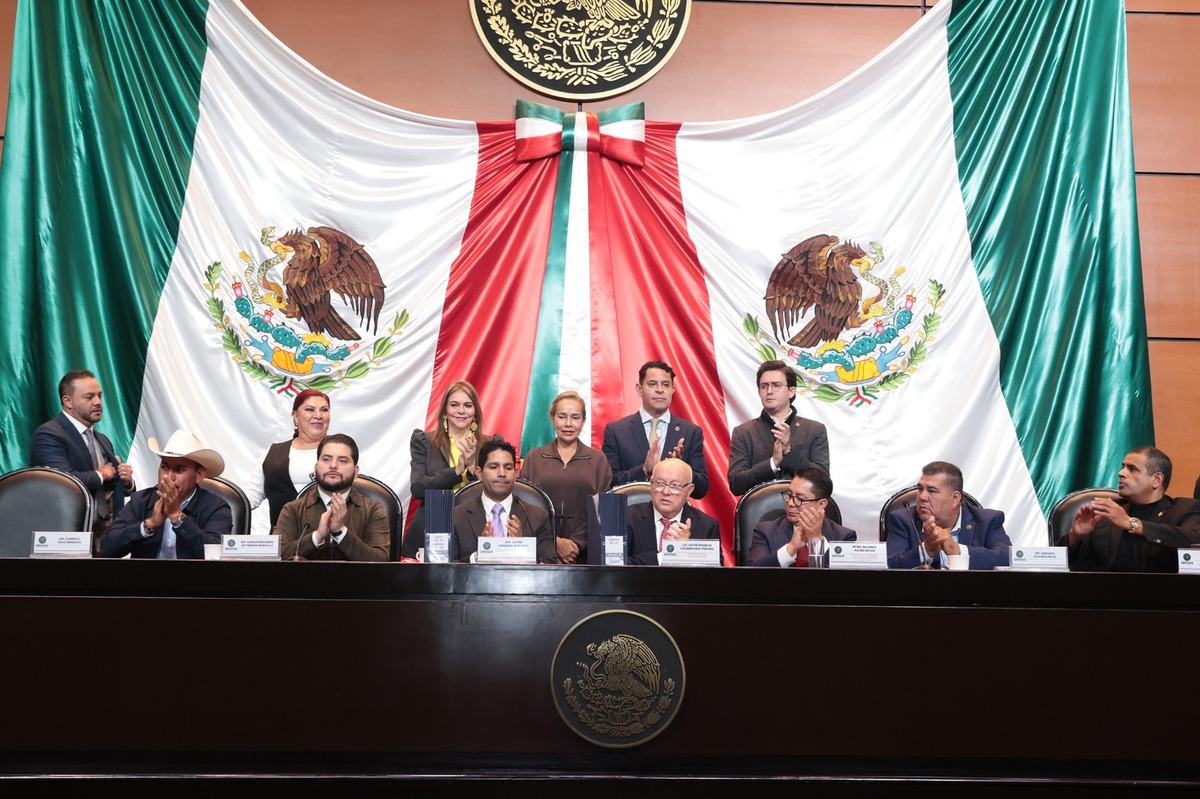 Segunda de tres entregas de informes de fiscalización correspondientes al último año | Especial