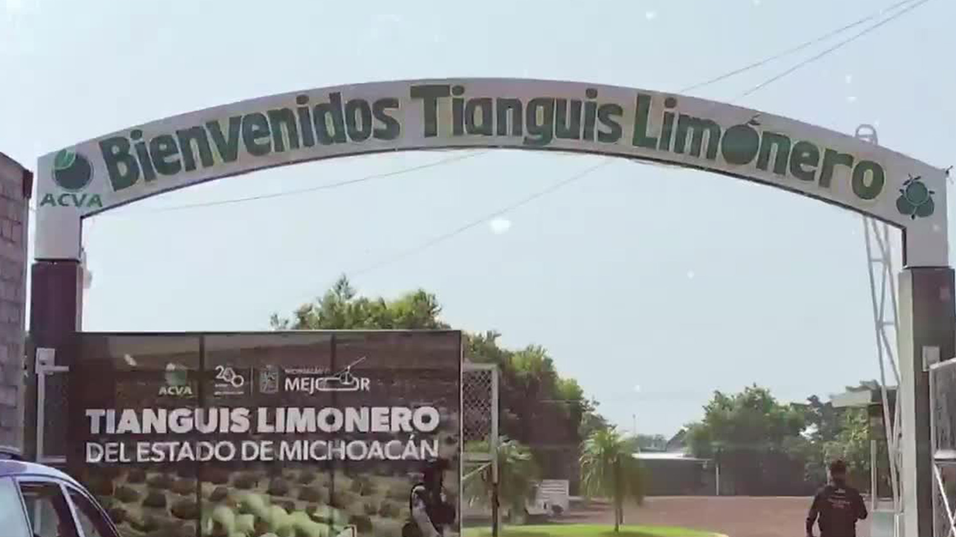 Limoneros del Valle de Apatzingán retoman actividades tras el asesinato de Bernardo Bravo