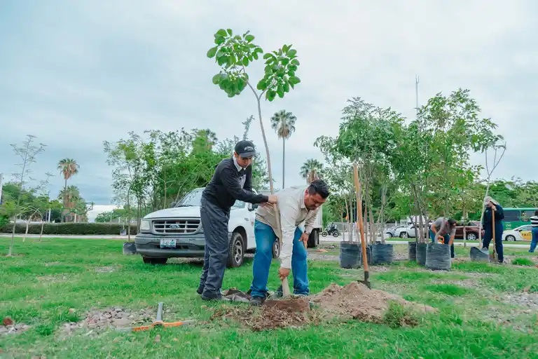 Plantación de árboles en Guadalajara. (Cortesía)