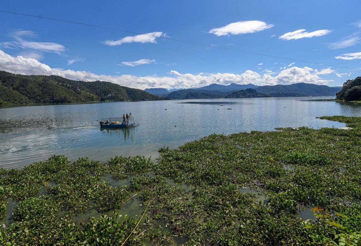 Presa Miguel Alemán, parte del Sistema Cutzamala. | Cuartoscuro