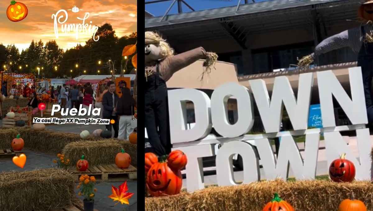 Este es el lugar que te permite vivir el otoño y Halloween de una manera diferente | Especial