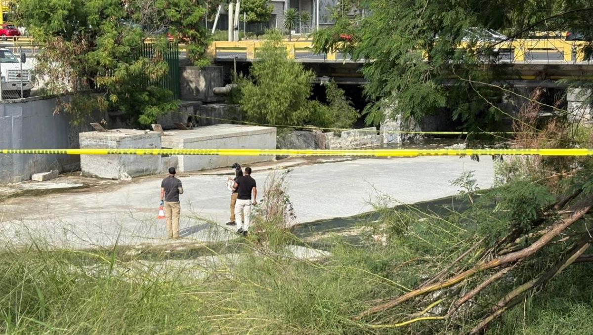 El hallazgo se registró  debajo del puente que cruza la avenida Revolución. | Ángel Mercado