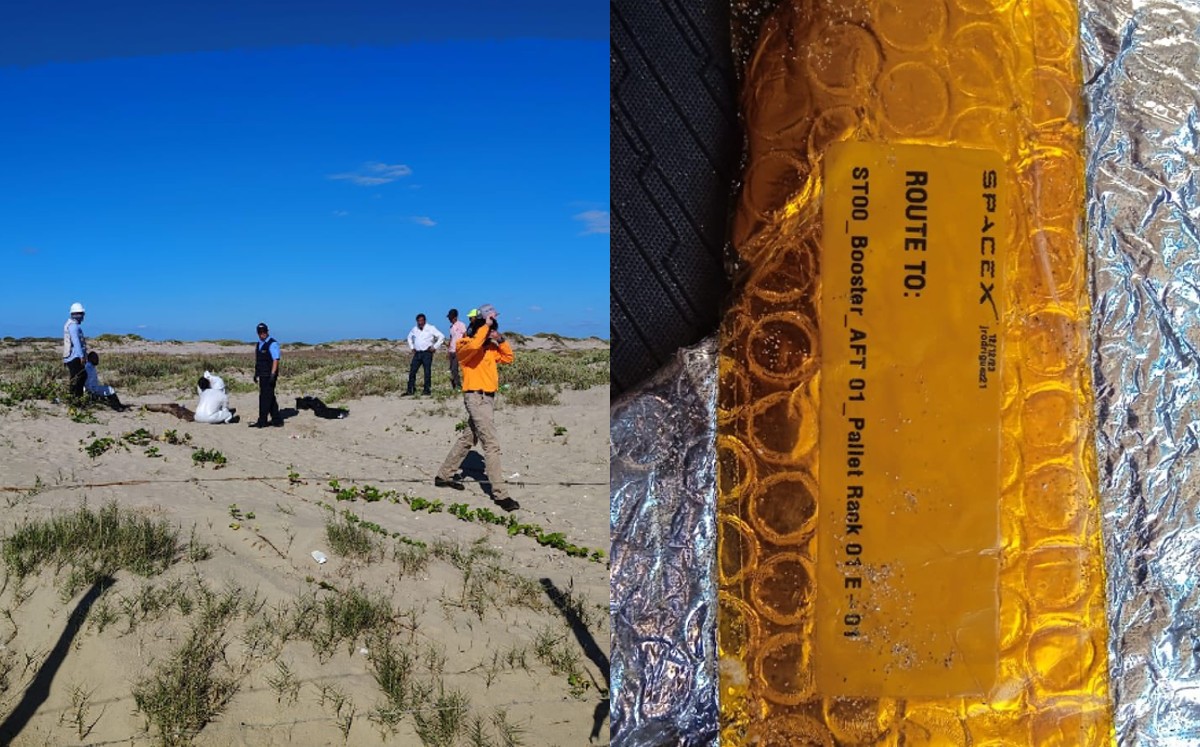 Investigaciones sobre muerte de delfines en Playa Bagdad. | Conibio Global