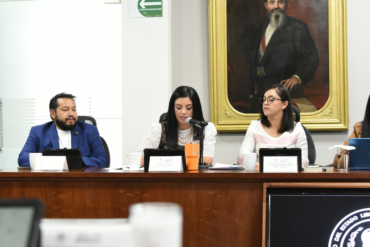 Karla Perales, diputada de Movimiento Ciudadano. (Cortesía)