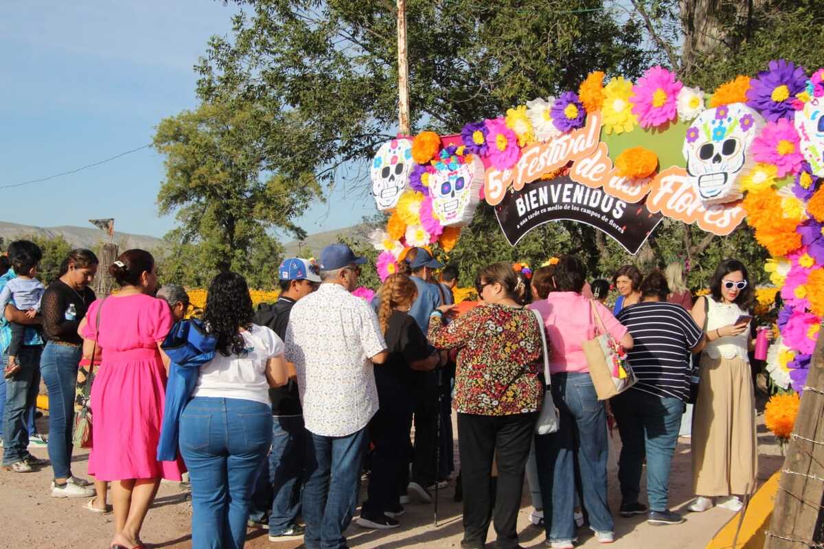 Cabe destacar que Lerdo es el principal productor de flores de Día de Muertos. | Roberto Amaya
