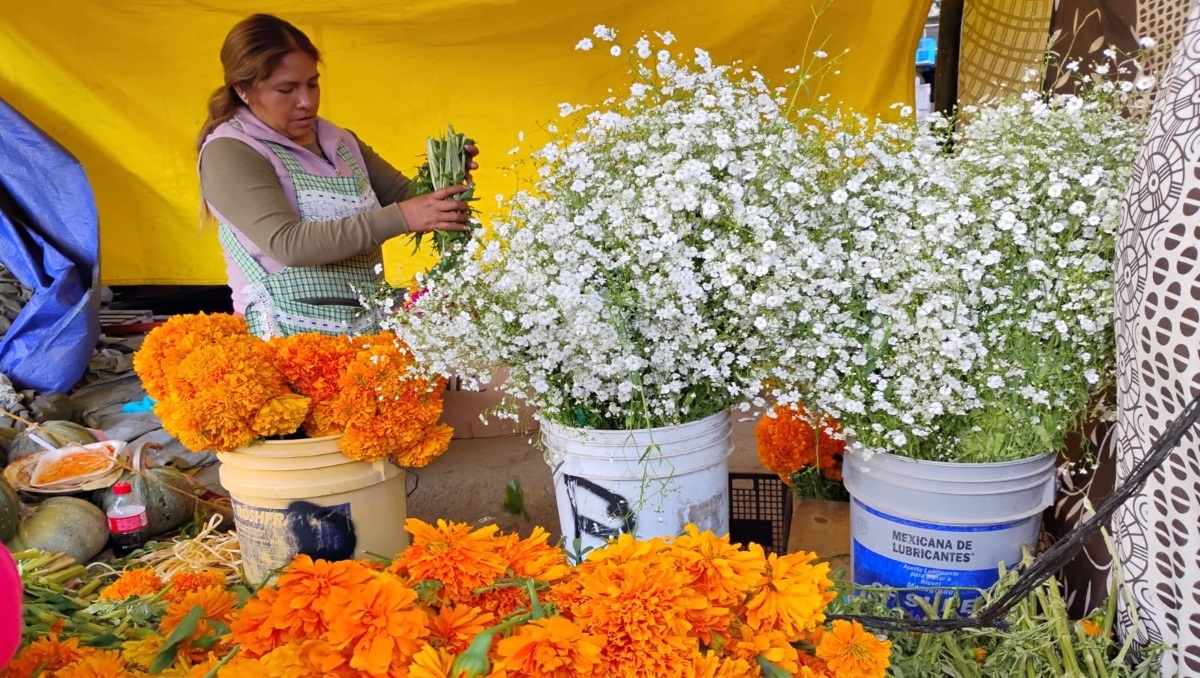 Cempasúchil, flor que reactiva la economía poblana en Día de Muertos | Especial