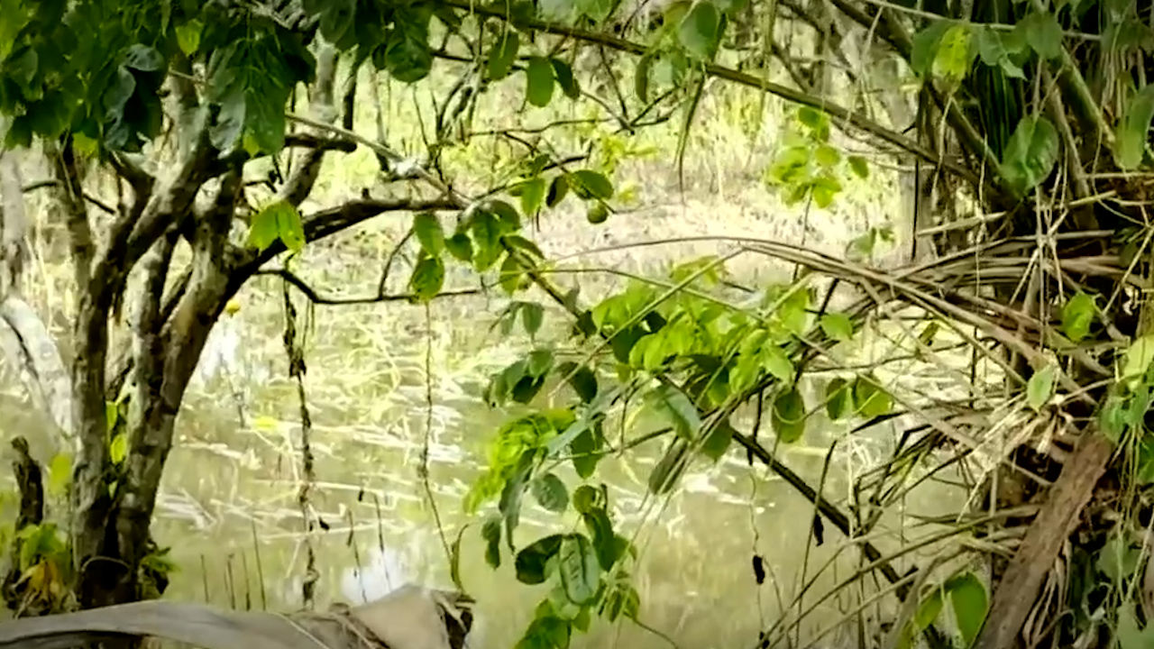 Citricultores de Álamo Temapache reportan pérdidas por inundaciones y derrames