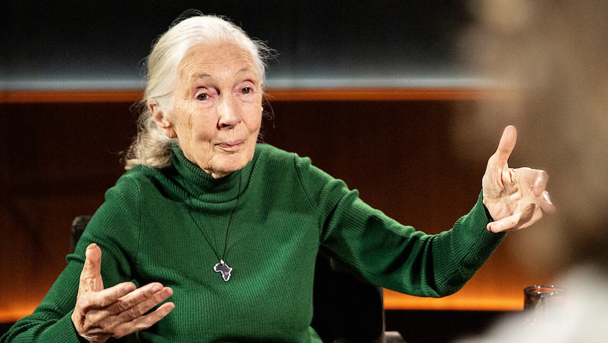 La experta británica protagoniza el primer capítulo | Especial