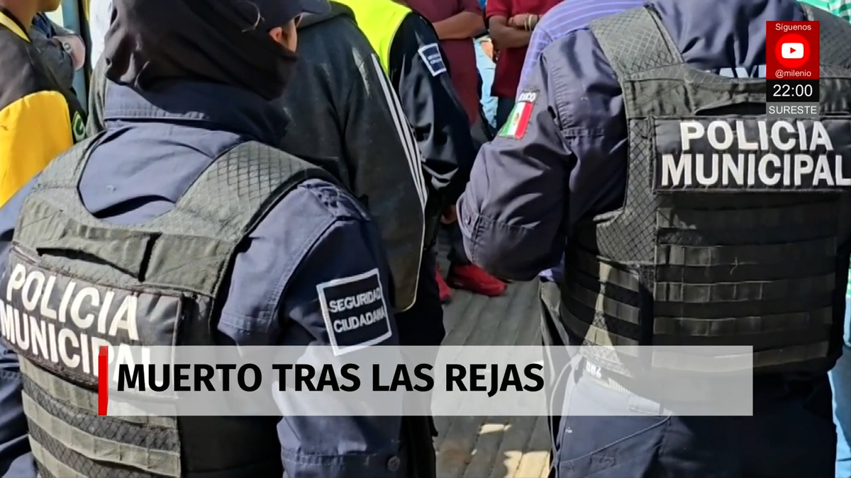 Milenio Noticias, 25 de octubre de 2025