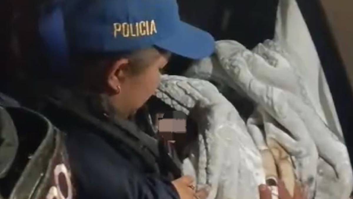 Elementos de la Policía Auxiliar apoyar a la madre y a la bebé recién nacida (SSC)