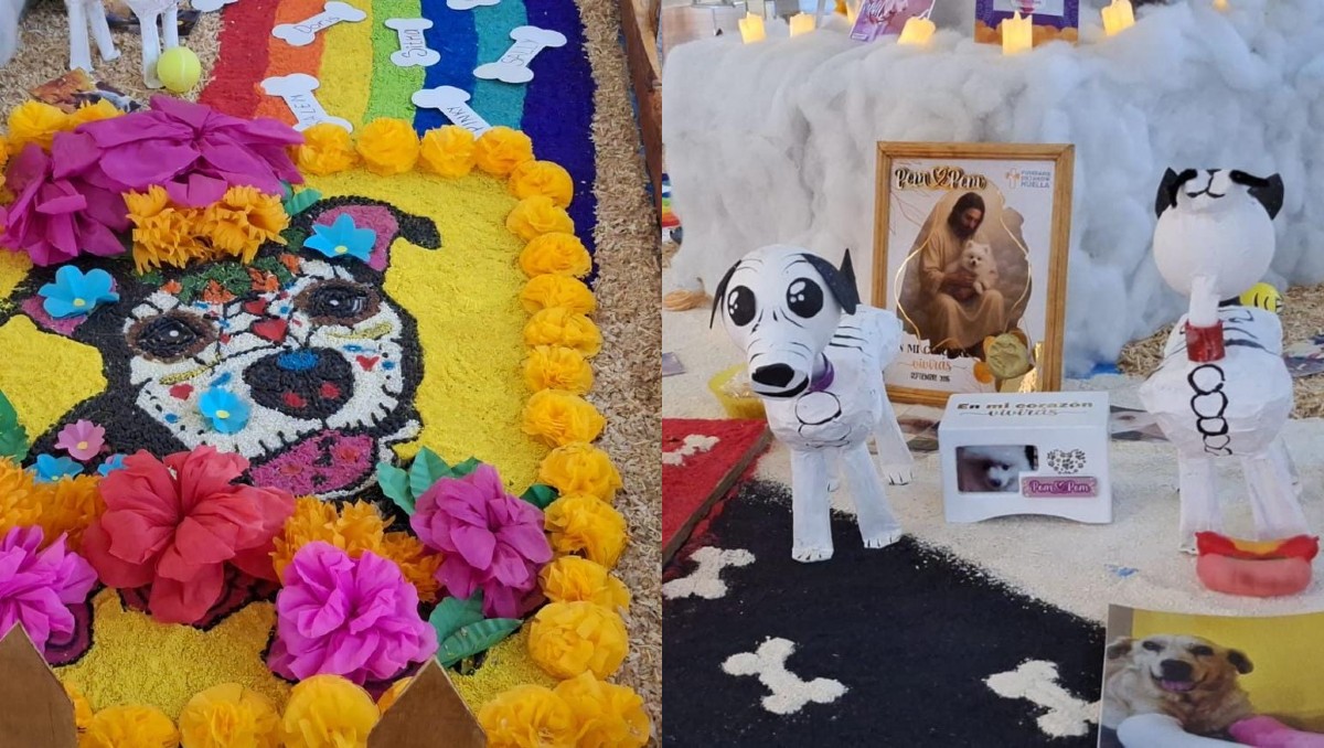 Ofrenda TAC 2025 en Tehuacán, Puebla | Especial