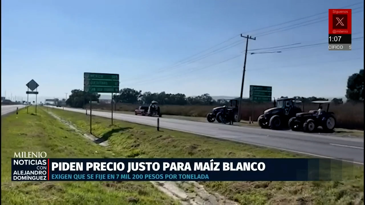 Agricultores piden precio justo por tonelada de maíz blanco y rechazan condiciones oficiales
