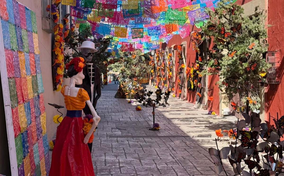 Festival Paso de la Mariposa Monarca. l Especial