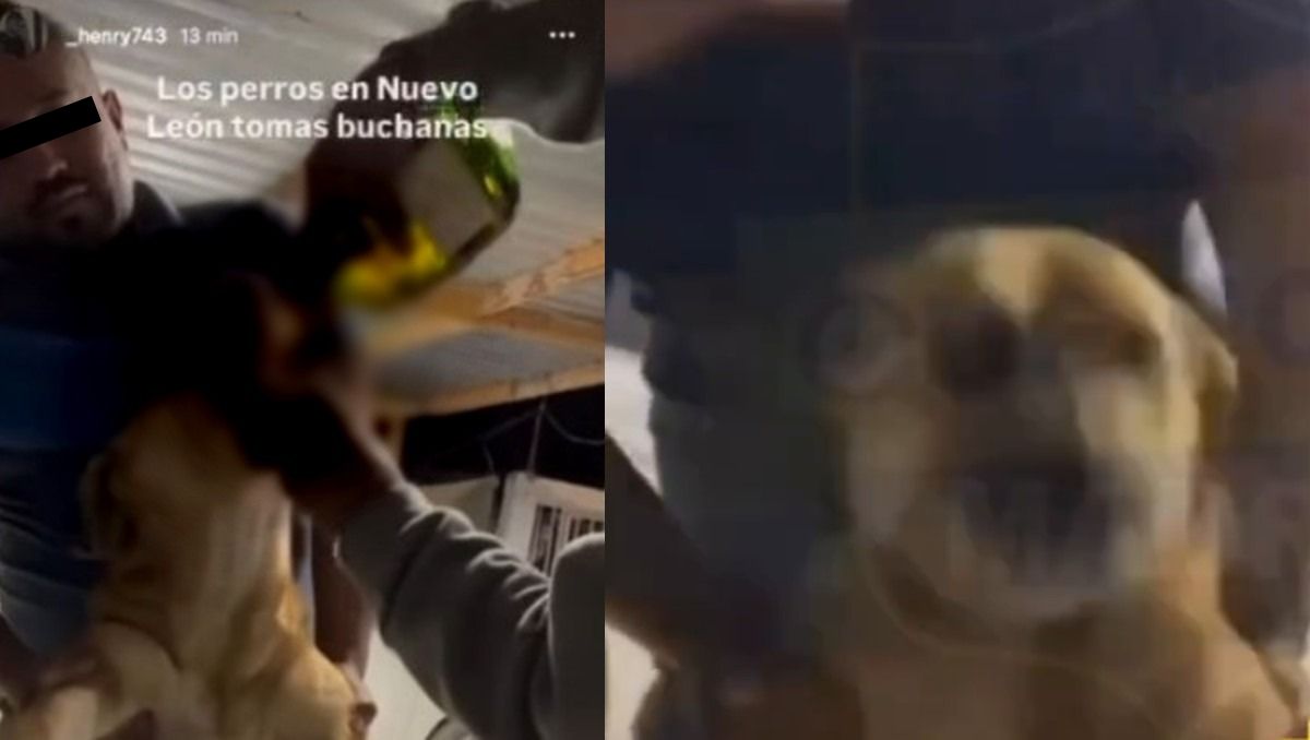 En la grabación de cinco segundos se ve a tres hombres alcoholizado al perro. | Foto: Especial