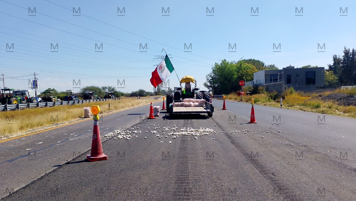 Productores de casi todo el estado se desplegaron en carreteras federales que cruzan por Guanajuato.