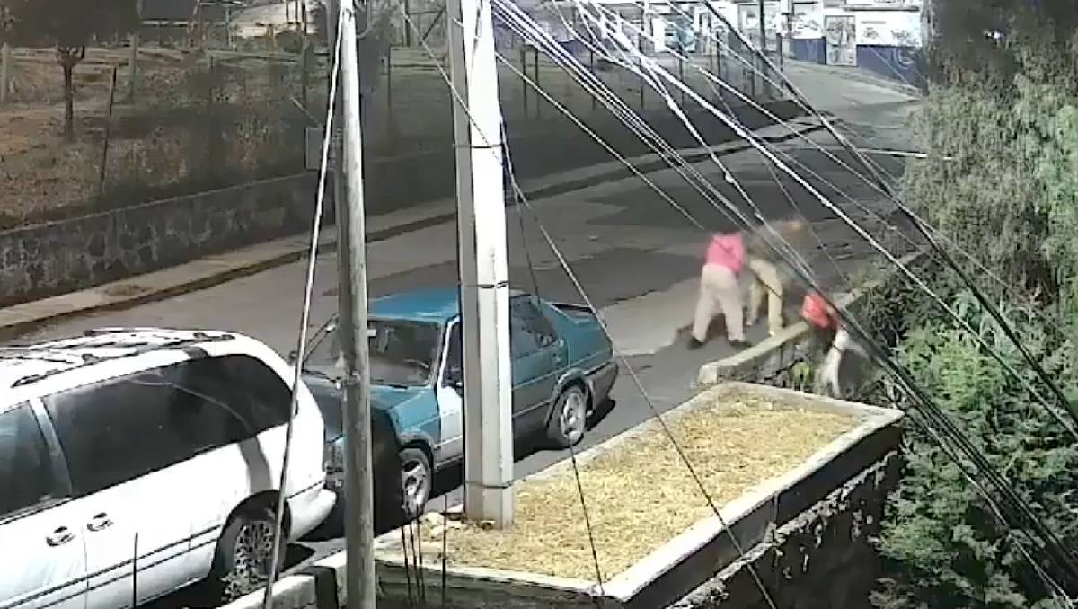 El caso de maltrato animal contra un gato ocurrió en Vicente Guerrero, Naucalpan. Foto: (Especial)