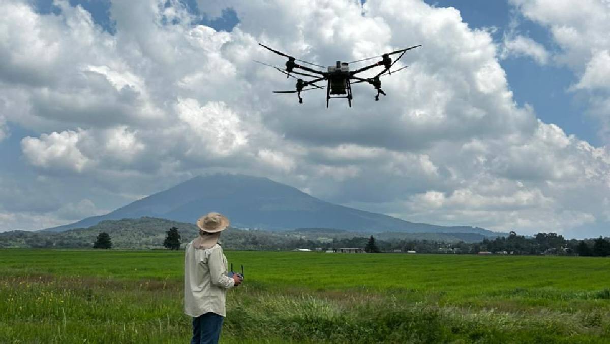 Los drones modernizan el trabajo agrícola y optimizar recursos en parcelas. Foto: (Especial)