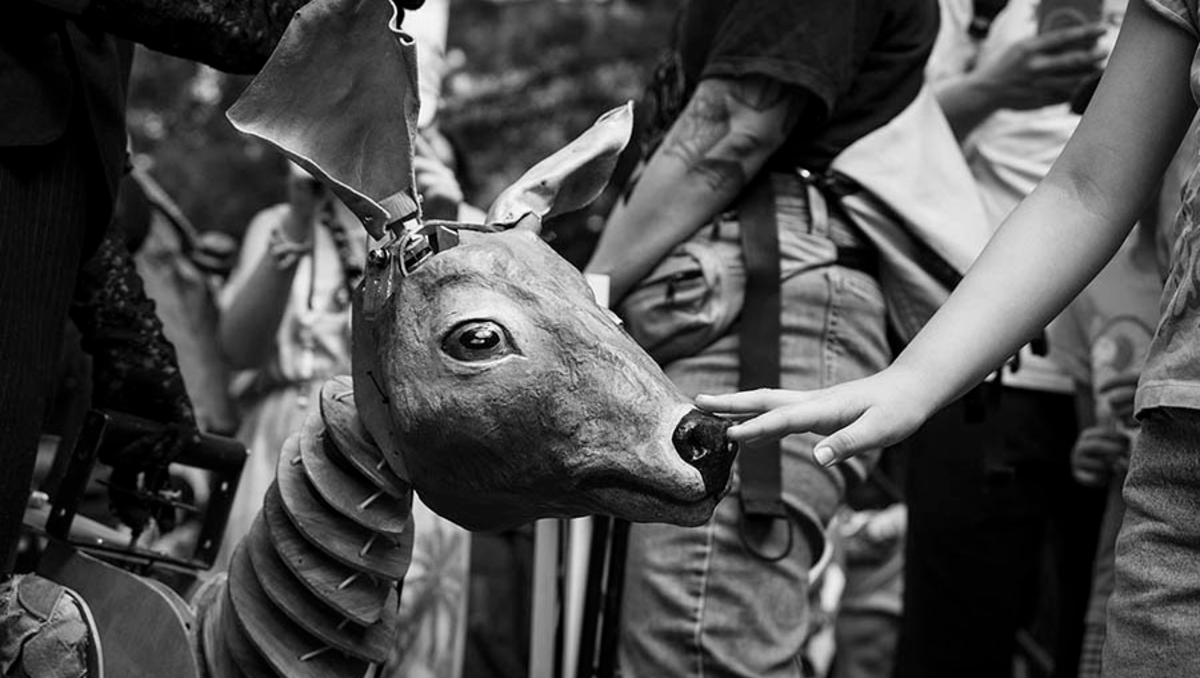 El espectáculo Animalarium entrelaza arte y conciencia ambiental (Foto: Cortesía Animalarium)