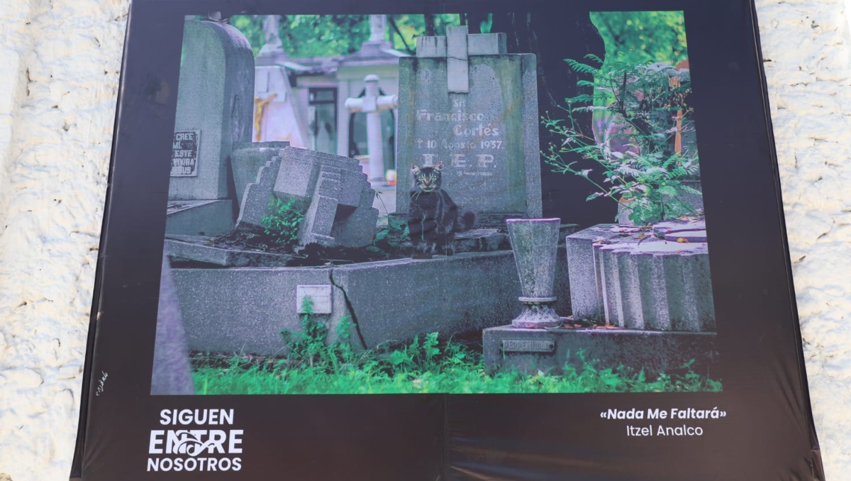 Exposición en honor a especies que habitan en panteones de Puebla | Melanie Torres