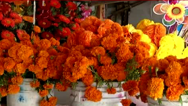 Flor de Día de Muertos: Puebla encabeza producción nacional