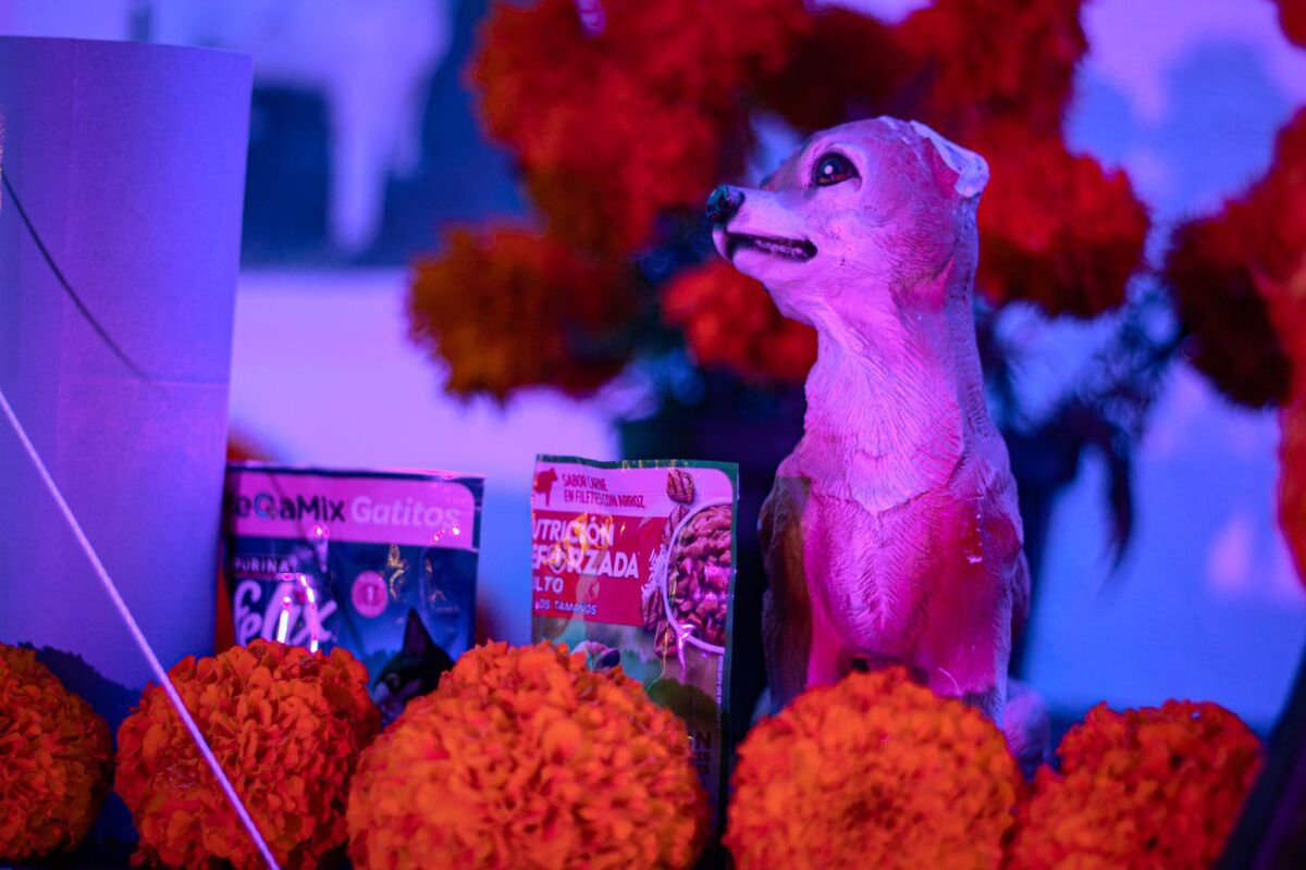 Flores, velas y retratos adornan el altar dedicado a los lomitos fallecidos en Mineral de la Reforma. (Cortesía)