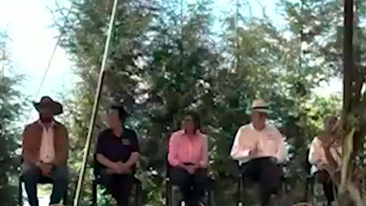 Metepantle de Tlaxcala nombrado Patrimonio Agrícola Mundial por la FAO | Milenio Hábitat