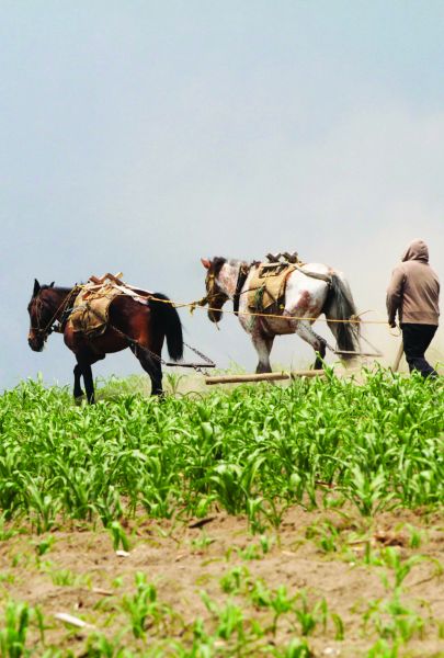 Piden apoyo al gobierno estatal. IVÁN CARMONA