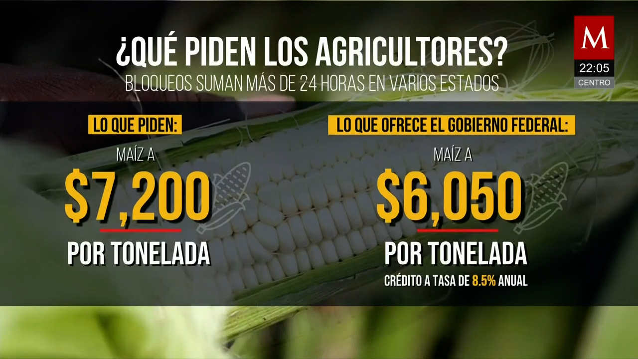 Tensión en el campo: agricultores rechazan propuesta del gobierno por el maíz