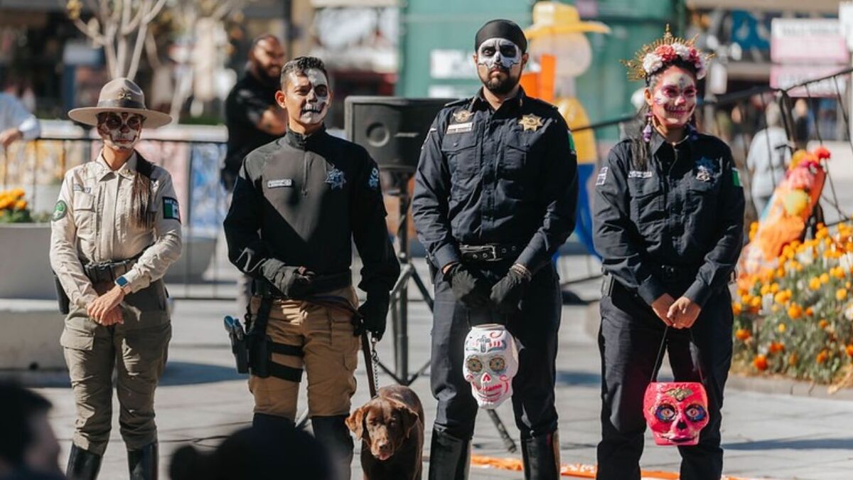 Festival Bien de Noche en Guadalajara (Cortesía)