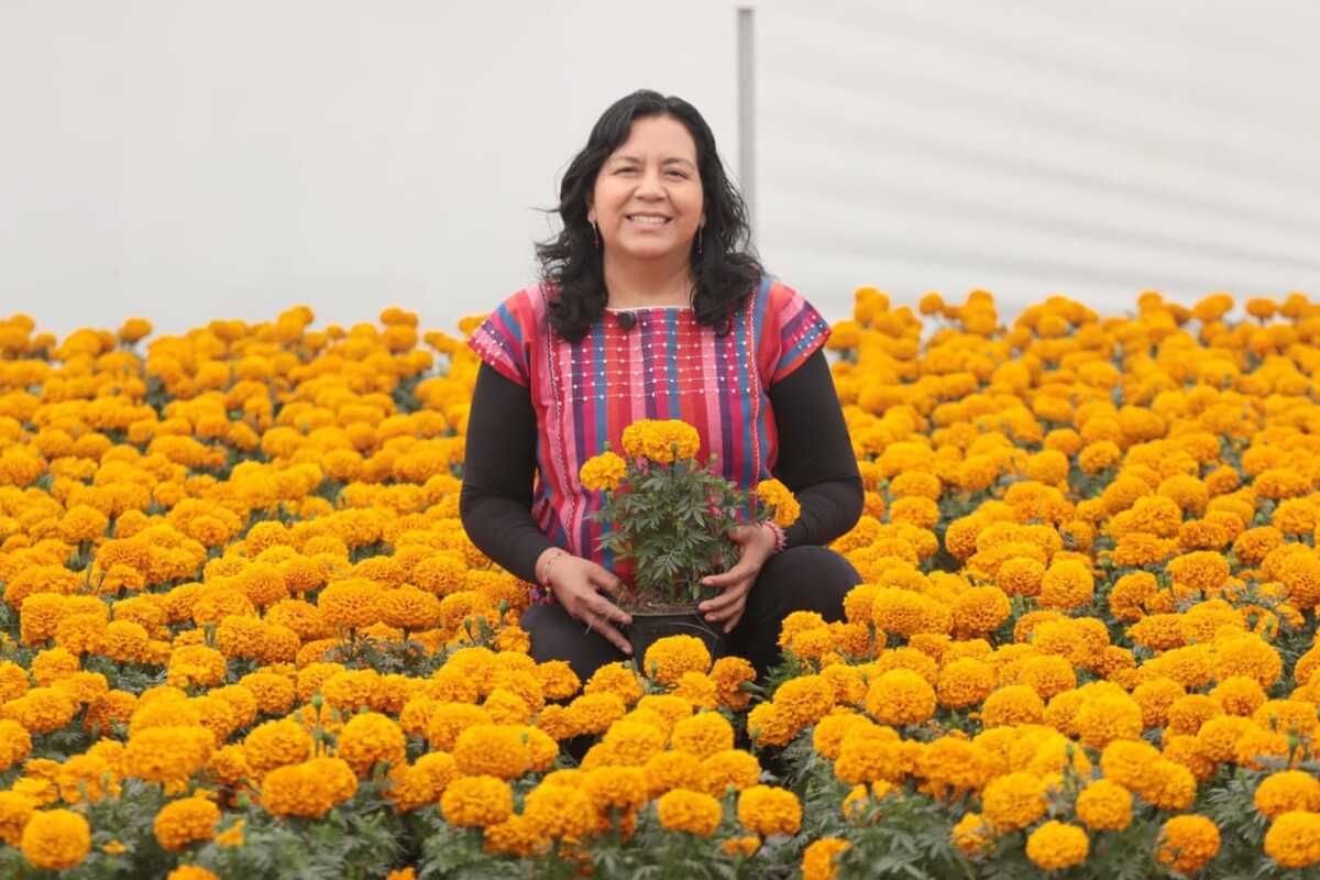 Flores emblemáticas para la temporada de Día de Muertos. (Foto: Especial)