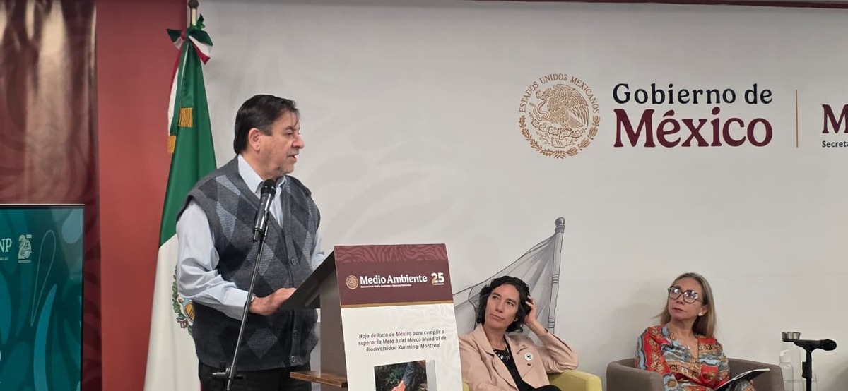 La Hoja de Ruta busca incluir a pueblos indígenas y comunidades afromexicanas en las decisiones sobre conservación. | Especial