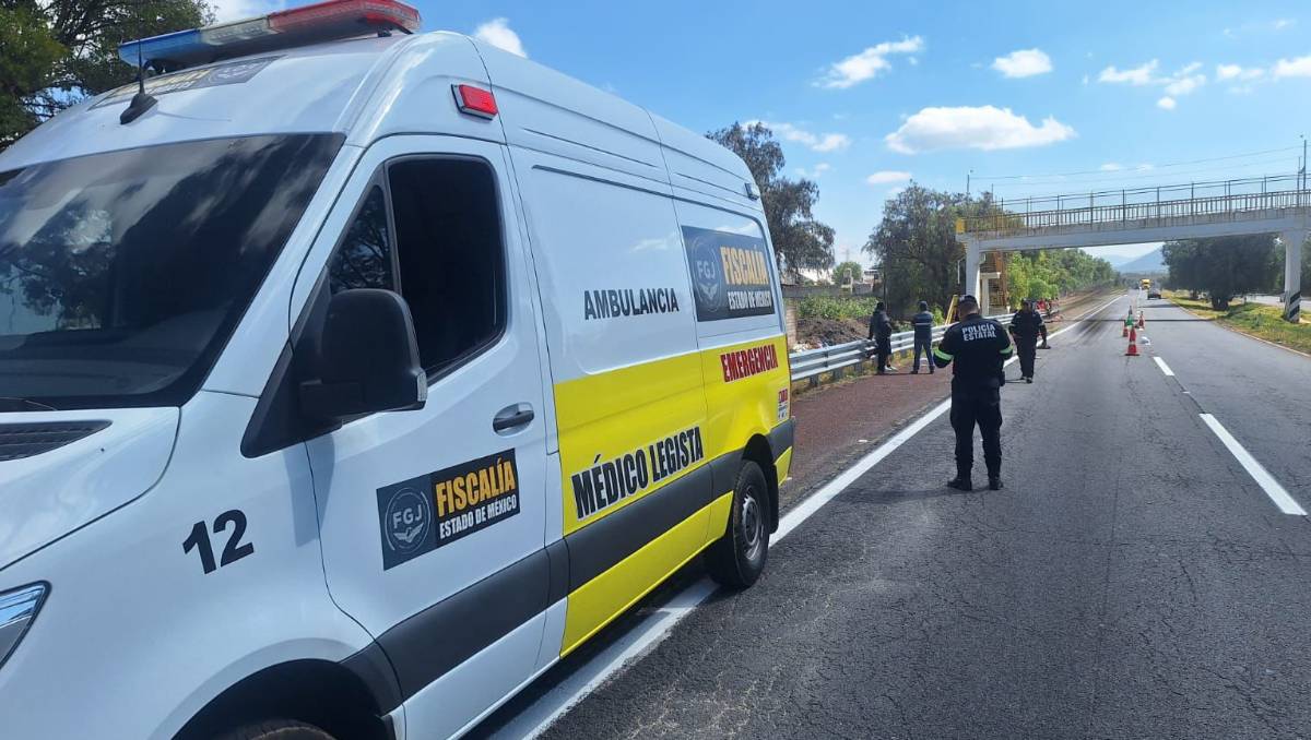 El menor salió de su casa e intentó cruzar la vía rápida, pero fue embestido por un vehículo. Especial