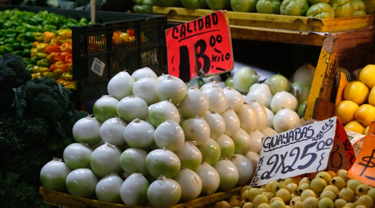 México se consolida como el tercer exportador mundial de cebolla. | Foto: Ariana Pérez