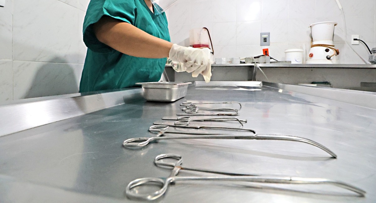 Hoy en día, la tanatopraxia integra conocimientos médicos, químicos y éticos. | Verónica Rivera