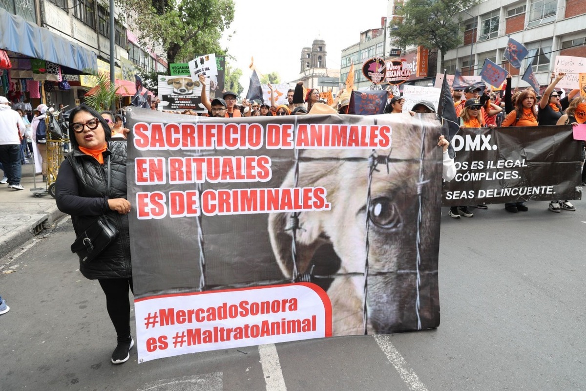 La venta de animales en el Mercado Sonora ha desatado múltiples manifestaciones y debates | Cuartoscuro
